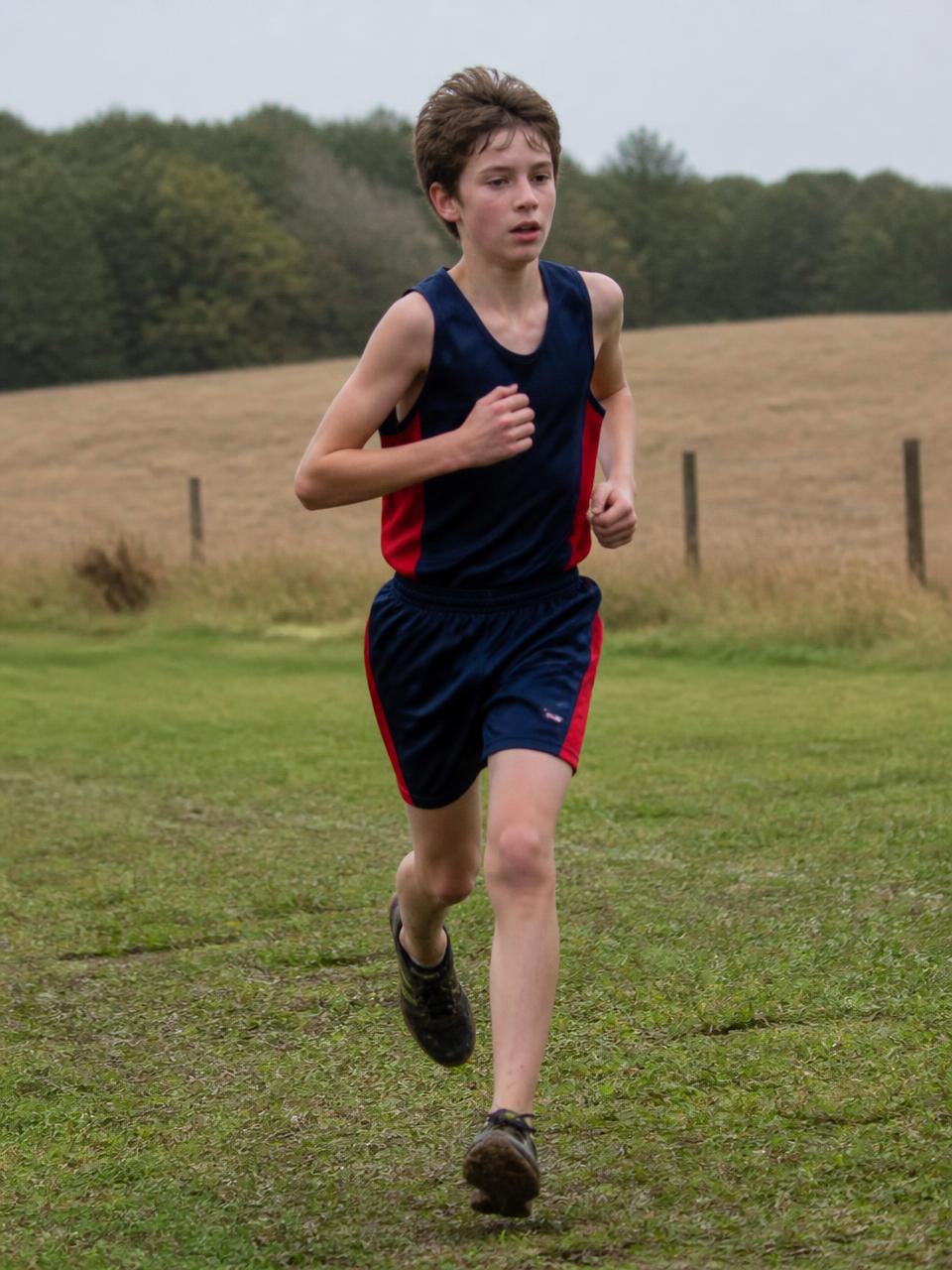 Illustration of a middle school cross country runner in navy and red racing across a grass course